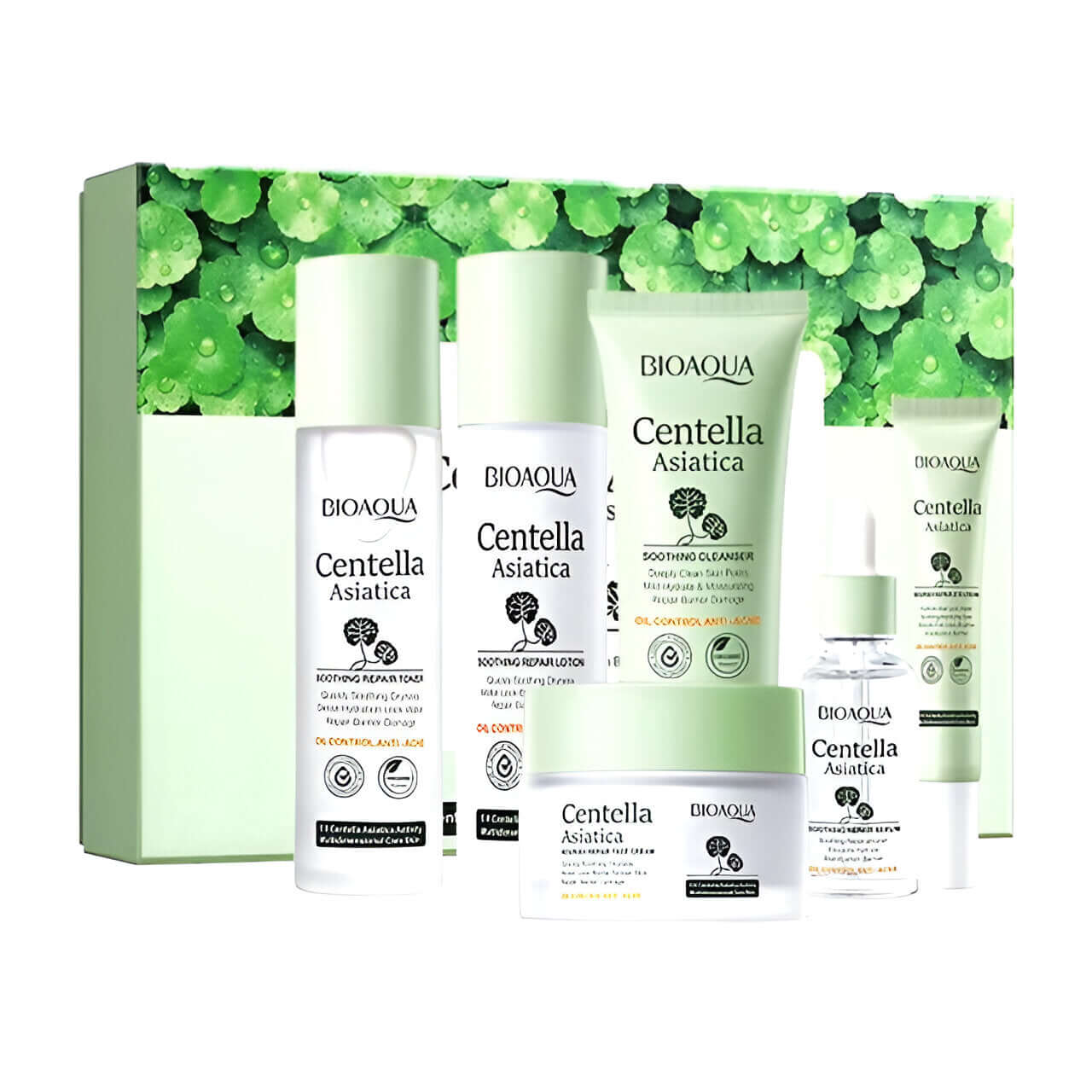 KIT CENTELLA ASIÁTICA CAJA DE LUJO